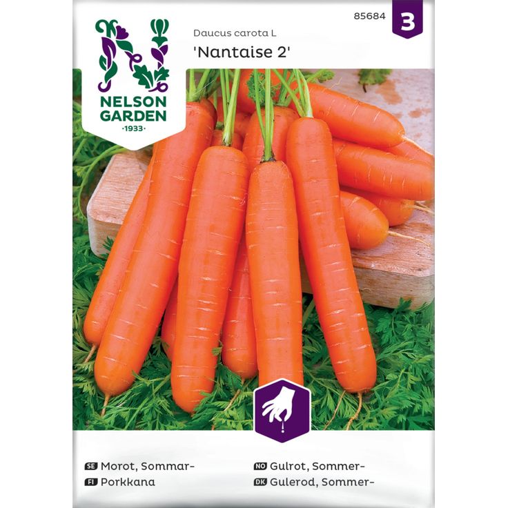 Porkkana siemen Nelson Garden Nantaise 2