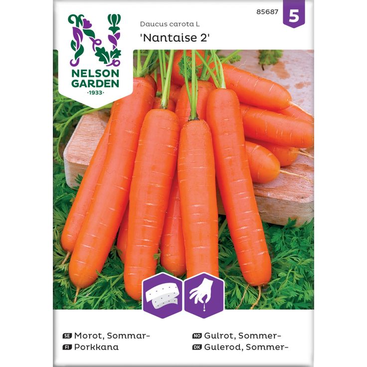 Porkkana siemen Nelson Garden Nantaise 2, kylvönauha