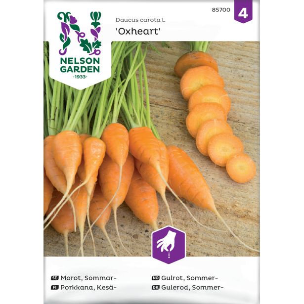 Porkkana siemen Nelson Garden Oxheart