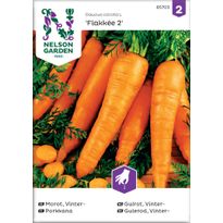 Porkkana Nelson Garden Flakkée 2, siemenet