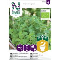 Oregano Nelson Garden Mäkimeirami Organic, siemenet