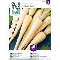 Palsternakka Nelson Garden White Gem, siemenet