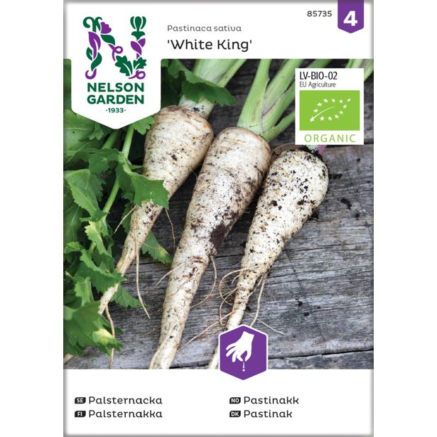 Palsternakka siemen Nelson Garden White King Organic