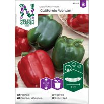 Vihannespaprika Nelson Garden California Wonder, siemenet