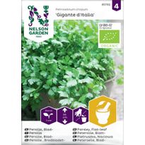 Persilja Nelson Garden Giga d&#039;Italia Organic, sileälehtinen, siemenet