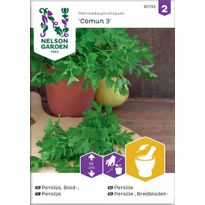 Persilja Nelson Garden Comun 3, sileälehtinen, siemenet