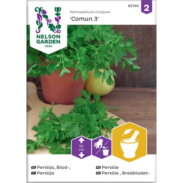 Persilja siemen Nelson Garden Comun 3, sileälehtinen