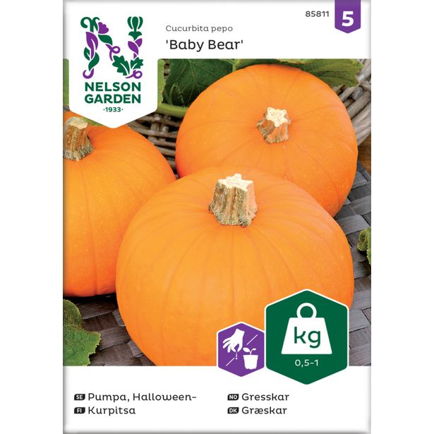 Kurpitsa siemen Nelson Garden Baby Bear