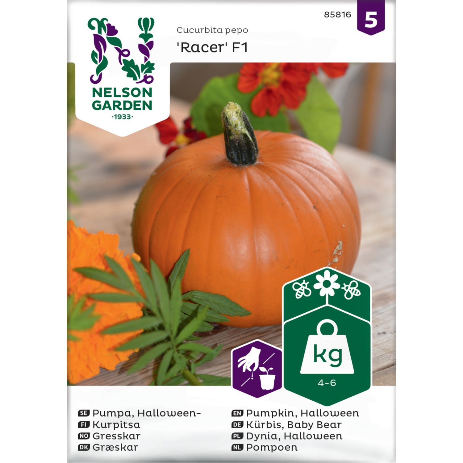 Kurpitsa Nelson Garden Racer F1, siemenet