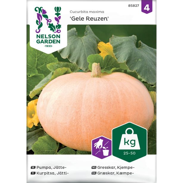 Jättikurpitsa siemen Nelson Garden Gele Reuzen