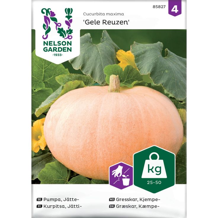 Jättikurpitsa siemen Nelson Garden Gele Reuzen