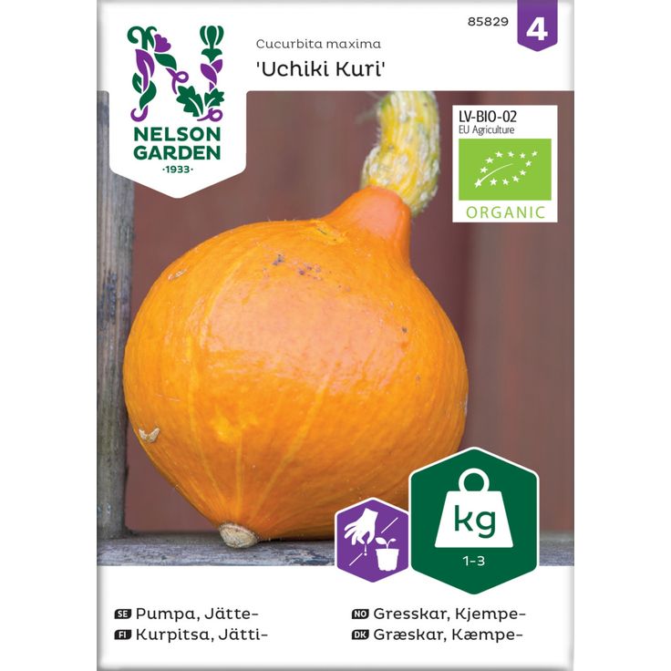 Jättikurpitsa siemen Nelson Garden Uchiki Kuri Organic