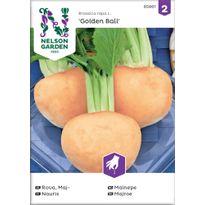 Nauris Nelson Garden Kultapallo Golden Ball, siemenet
