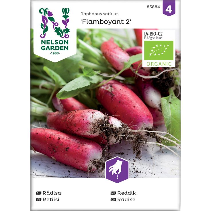 Retiisi siemen Nelson Garden Flamboyant 2 Organic