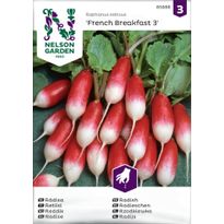 Retiisi Nelson Garden French Breakfast 3, siemenet