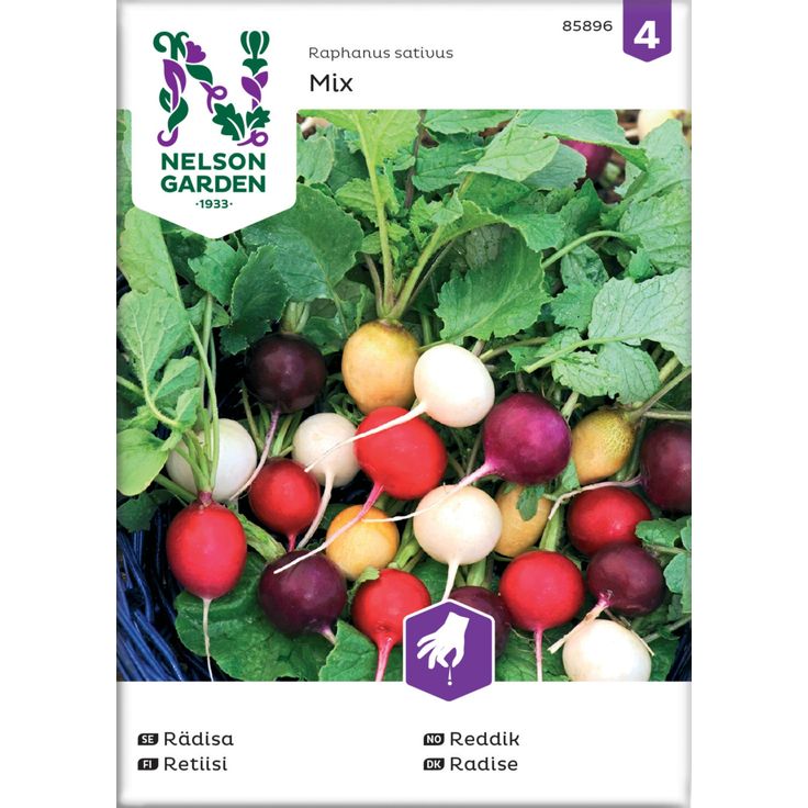 Retiisisekoitus siemen Nelson Garden Purple Pink Albena Zlata