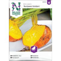 Punajuuri Nelson Garden Burpees Golden, siemenet