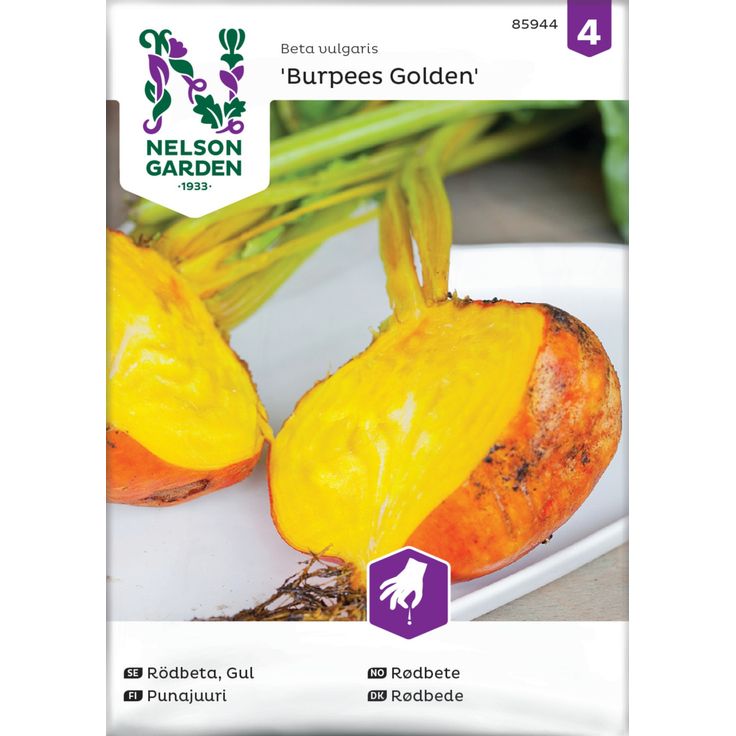 Punajuuri siemen Nelson Garden Burpees Golden