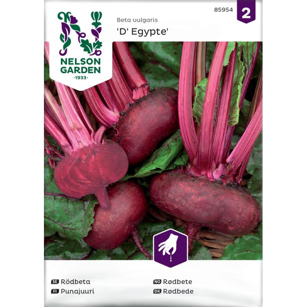 Punajuuri siemen Nelson Garden D' Egypte