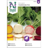 Punajuuri Nelson Garden Hullahoop Mix, siemenet