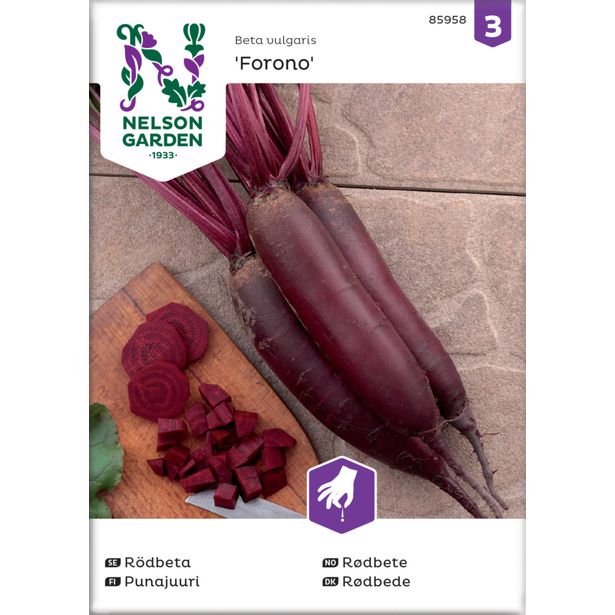 Punajuuri siemen Nelson Garden Forono, pitkä