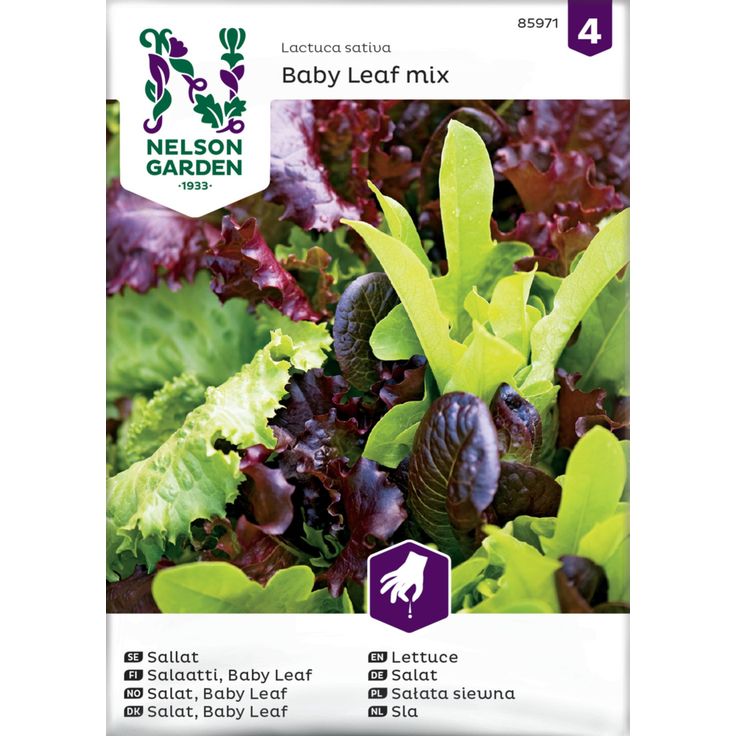 Salaattiseos siemen Nelson Garden Baby Leaf
