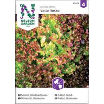 Bataviasalaatti Nelson Garden Lollo Rossa, siemenet