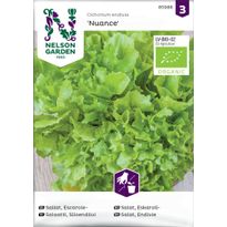 Endiivisalaatti Nelson Garden Silo Nuance Organic, siemenet