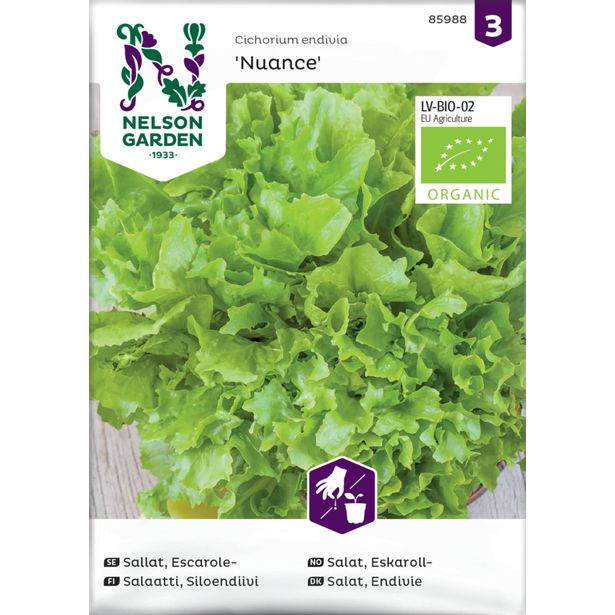 Endiivisalaatti siemen Nelson Garden Silo Nuance Organic