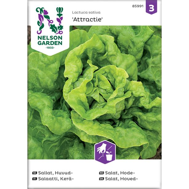 Keräsalaatti siemen Nelson Garden Attractie