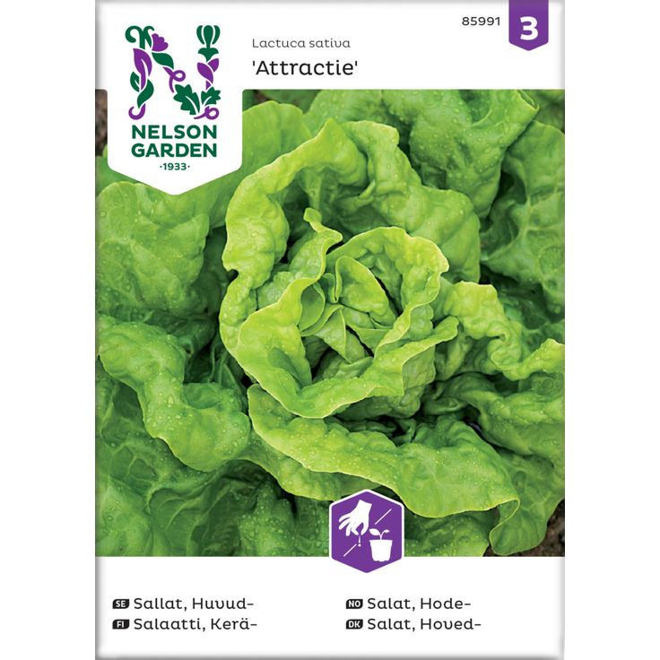 Keräsalaatti siemen Nelson Garden Attractie