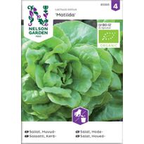 Keräsalaatti Nelson Garden Matilda Organic, siemenet