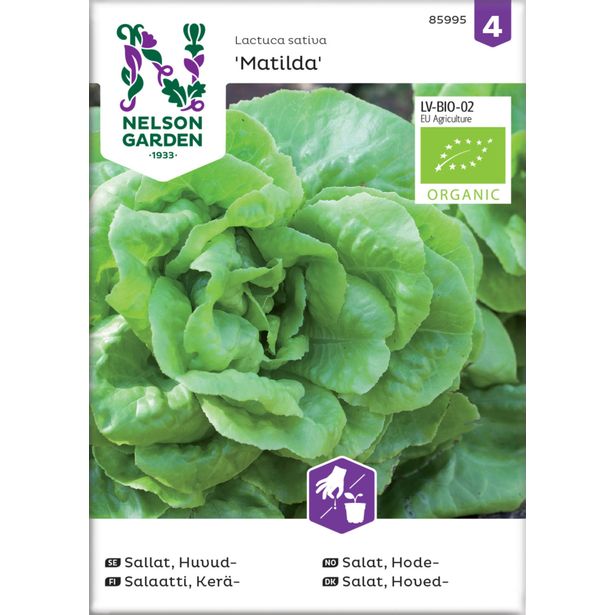 Keräsalaatti siemen Nelson Garden Matilda Organic
