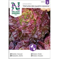 Keräsalaatti Nelson Garden Merveille des quatres, siemenet