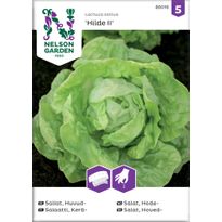 Keräsalaatti Nelson Garden Hilde II, kylvönauha, siemenet