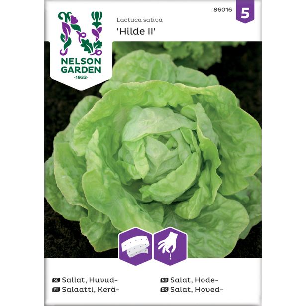 Keräsalaatti siemen Nelson Garden Hilde II, kylvönauha