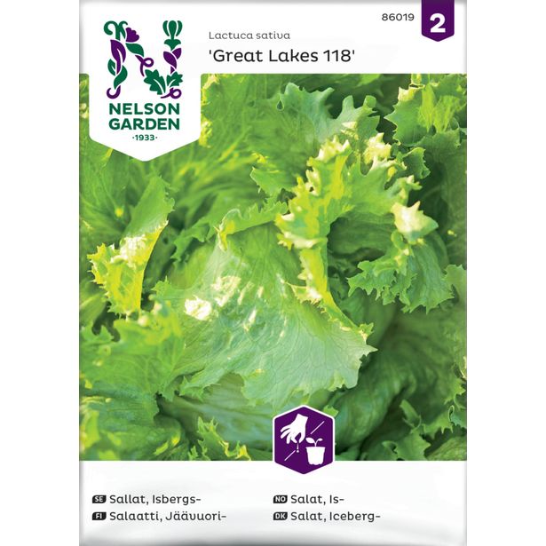 Jäävuorisalaatti siemen Nelson Garden Great Lakes 118