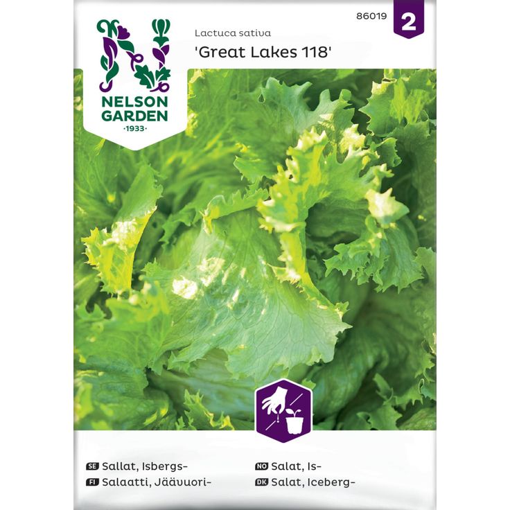 Jäävuorisalaatti siemen Nelson Garden Great Lakes 118