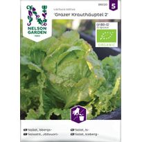 Jäävuorisalaatti Nelson Garden Grazer Krauthäuptel, siemenet