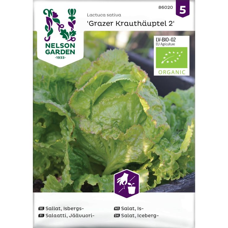 Jäävuorisalaatti siemen Nelson Garden Grazer Krauthäuptel