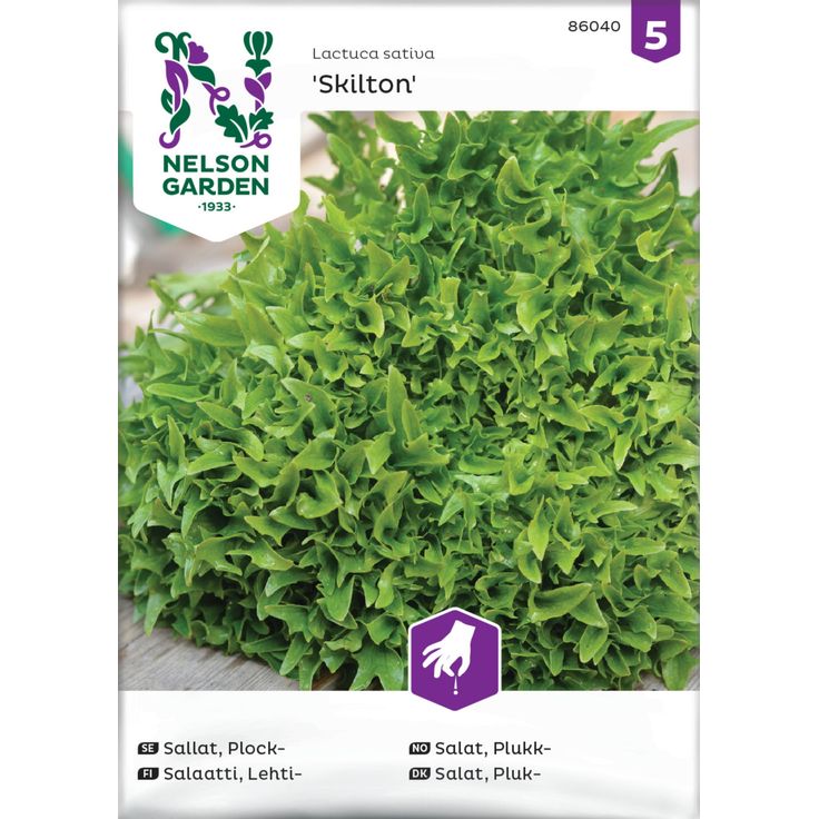Lehtisalaatti siemen Nelson Garden Skilton