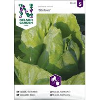 Sidesalaatti Nelson Garden Globus, siemenet