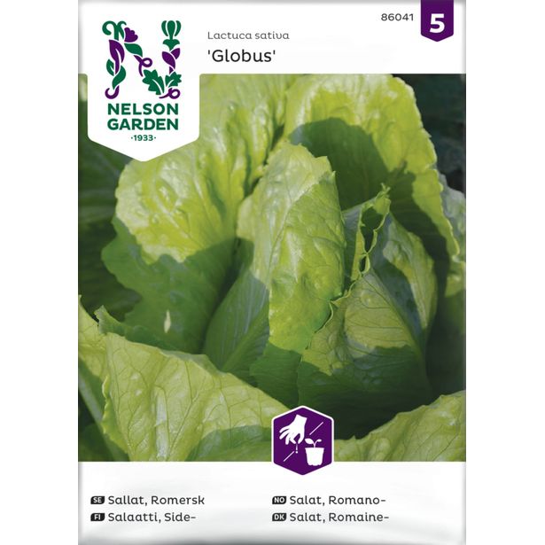 Sidesalaatti siemen Nelson Garden Globus