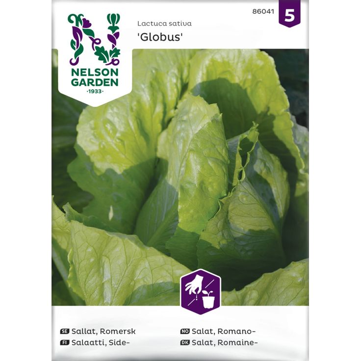 Sidesalaatti siemen Nelson Garden Globus