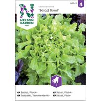 Tammenlehtisalaatti Nelson Garden Salad Bowl, siemenet