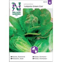 Sidesalaatti Nelson Garden Lobjoits Green Cos, siemenet