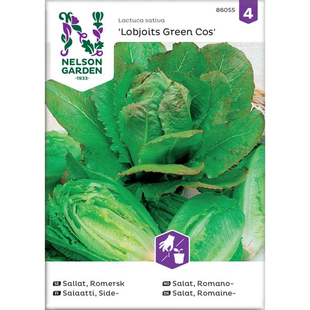 Sidesalaatti siemen Nelson Garden Lobjoits Green Cos