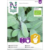 Ryytisalvia Nelson Garden Organic, siemenet
