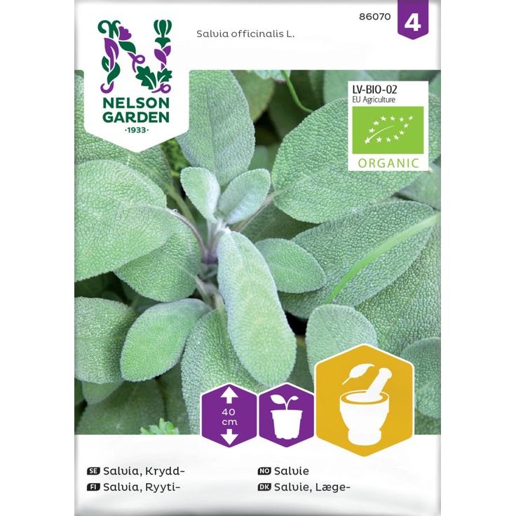 Ryytisalvia siemen Nelson Garden Organic