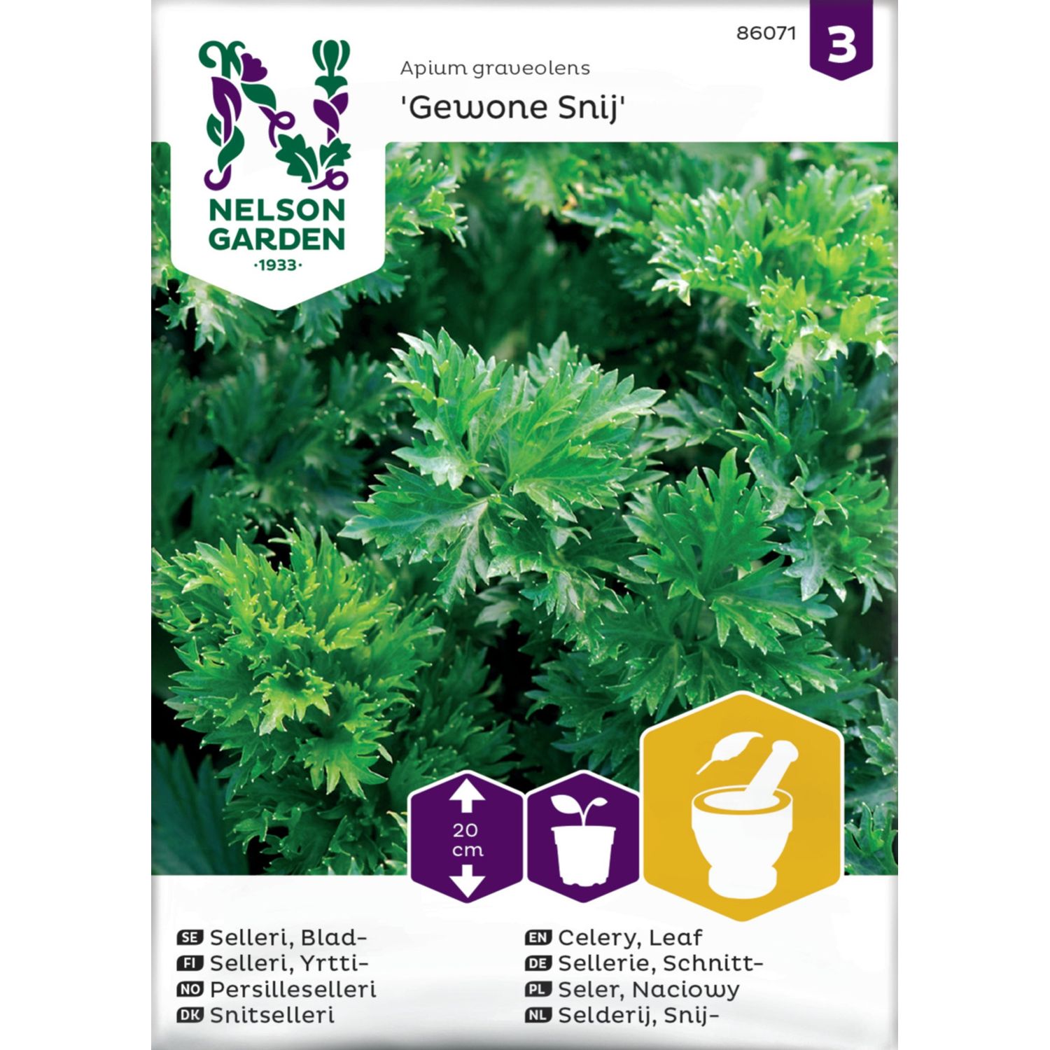 Selleri Nelson Garden Yrtti Gewone Snij, siemenet